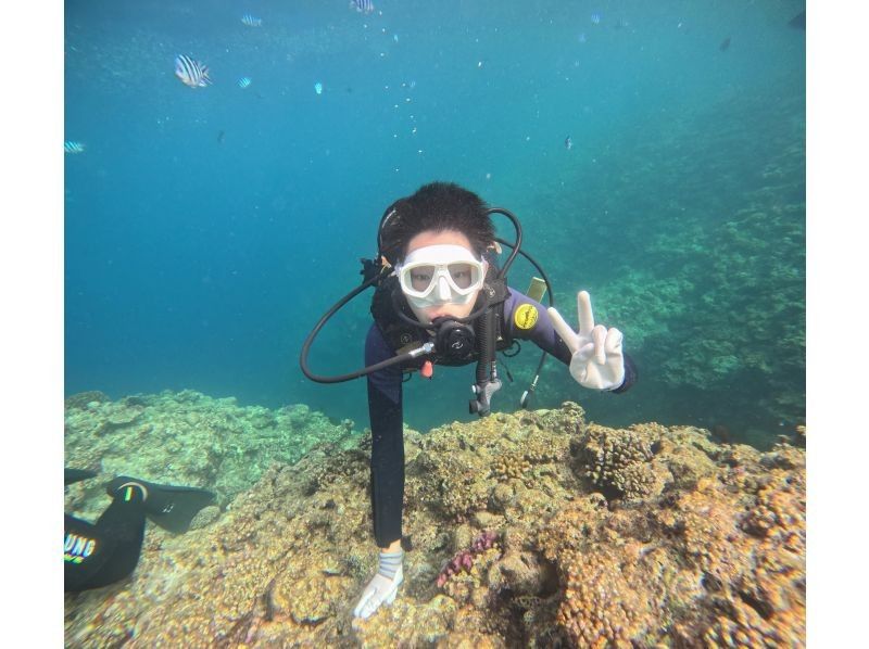 Diving Shop Lei のギャラリー