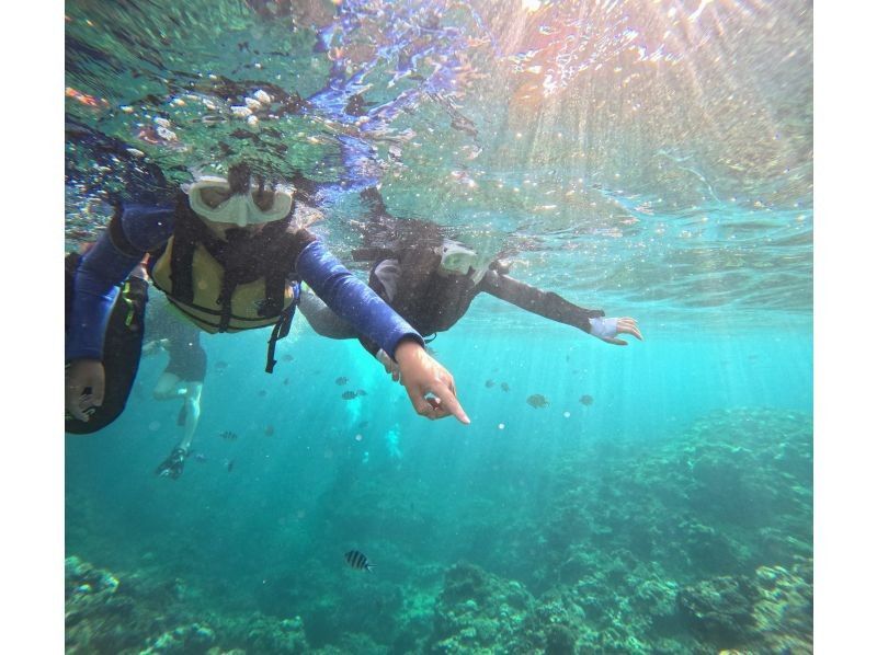 Diving Shop Lei のギャラリー