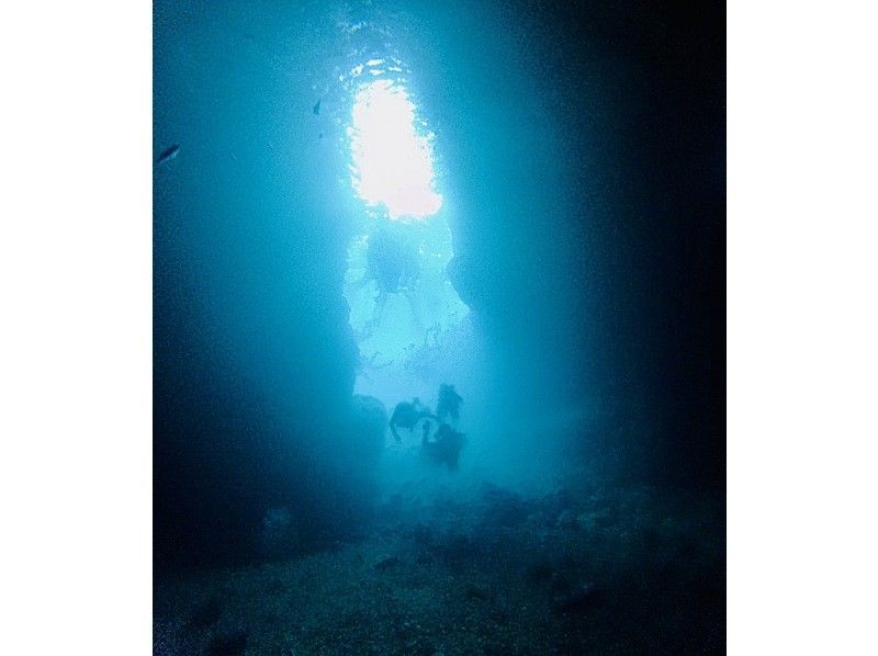 ダイビングショップめんそーれ(Okinawa diving mensore) のギャラリー