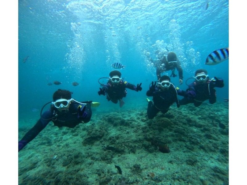ダイビングショップめんそーれ(Okinawa diving mensore) のギャラリー