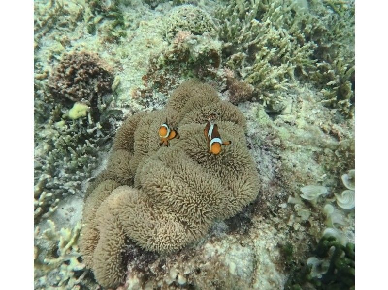 OKK MARINE CLUB のギャラリー