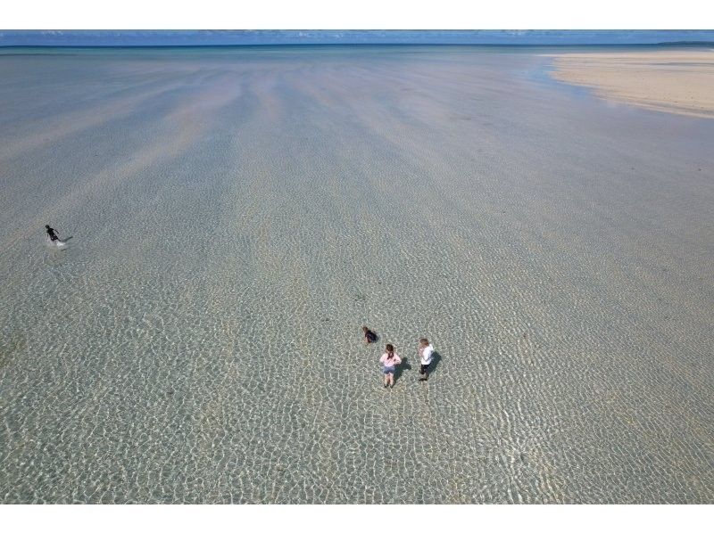 Blue Turtle Ocean Sports のギャラリー