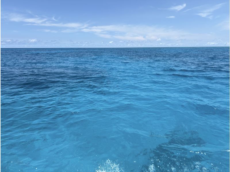 BLUE　SEASAR のギャラリー
