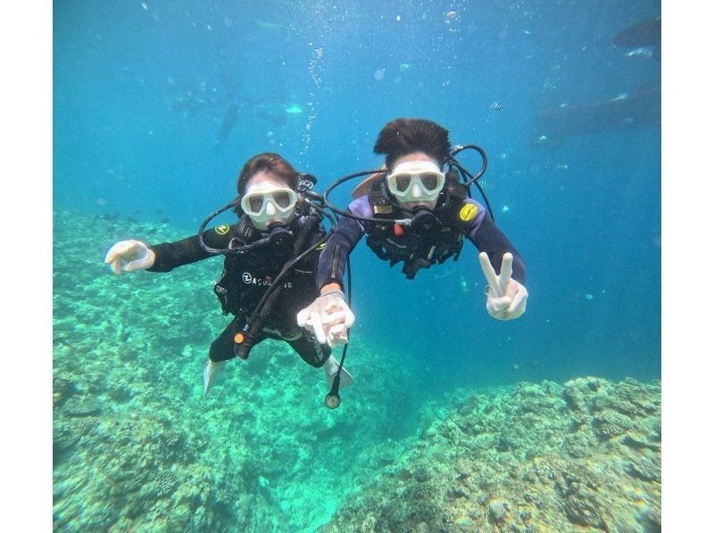 Diving Shop Lei のギャラリー