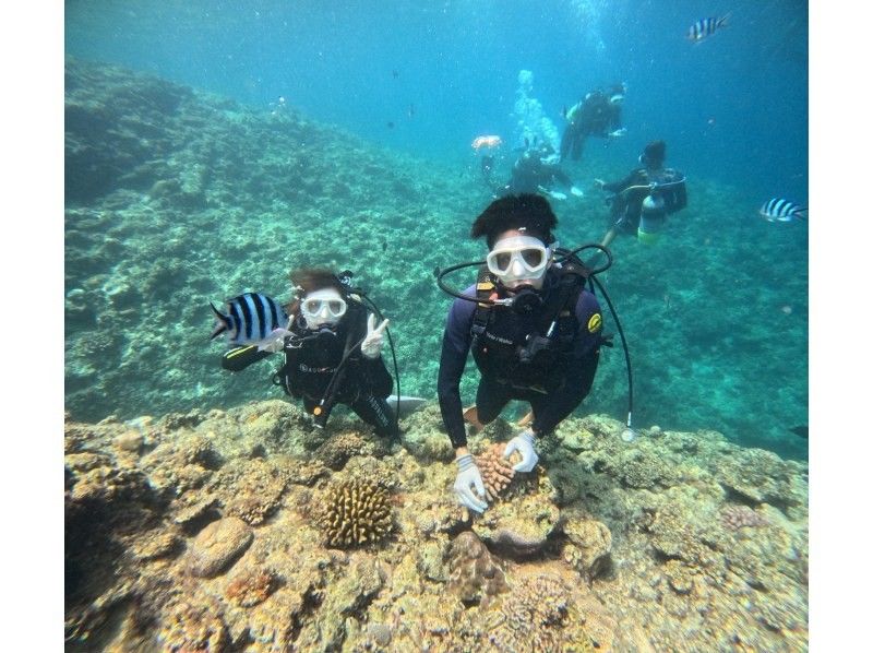 Diving Shop Lei のギャラリー