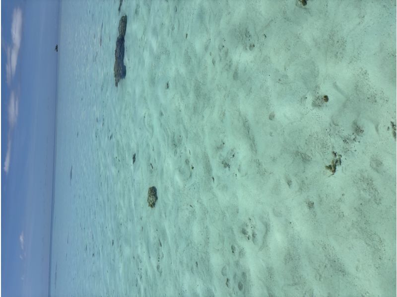 Marlin宮古島 のギャラリー