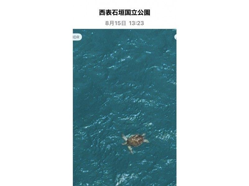 BLUE　SEASAR のギャラリー