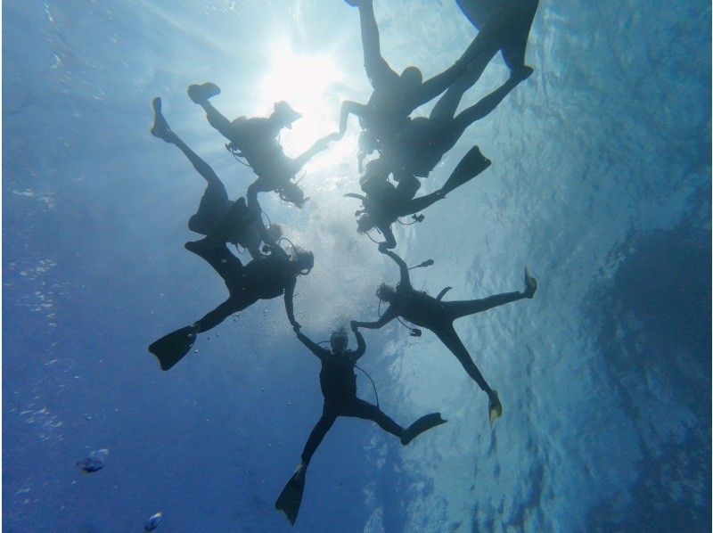 OceanStudio のギャラリー