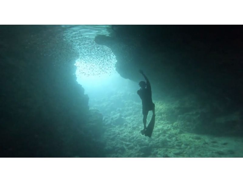 White Rabbit Diving のギャラリー