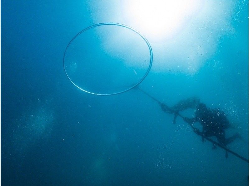 ARK Diving Shop 串本店 のギャラリー