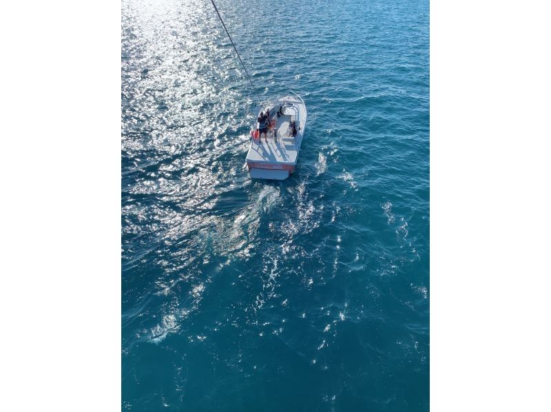 Parasailing NOA のギャラリー