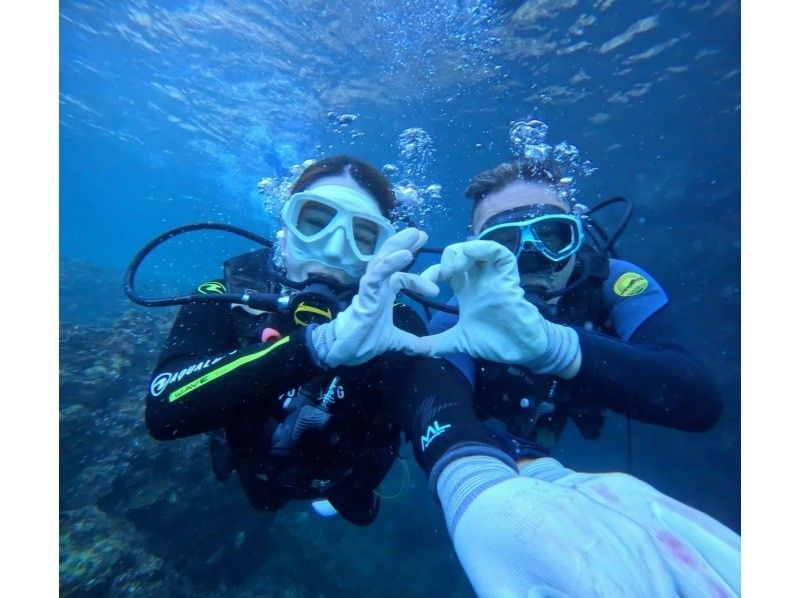 Diving Shop Lei のギャラリー