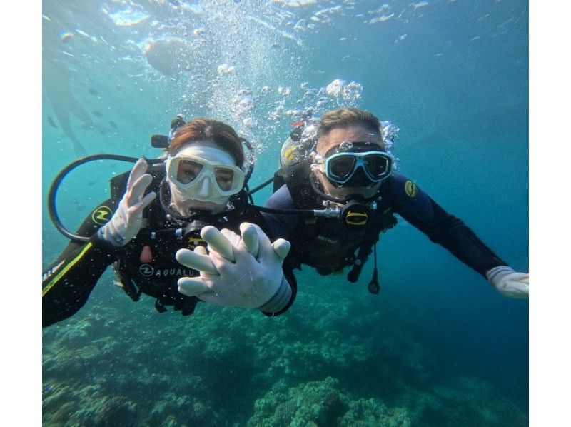 Diving Shop Lei のギャラリー