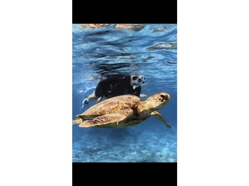 Dive Center OKKY のギャラリー