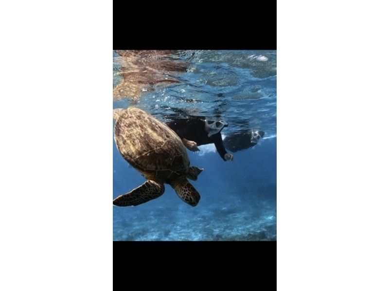 Dive Center OKKY のギャラリー