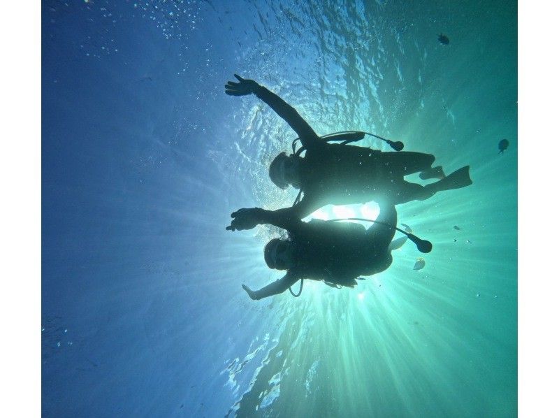 Diving Shop Lei のギャラリー