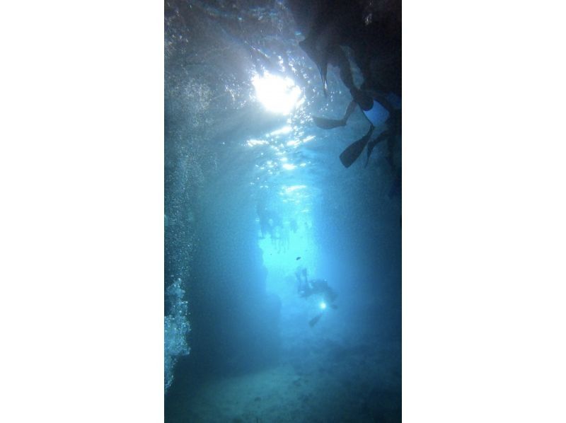 DIVING-SHOP SUNS のギャラリー