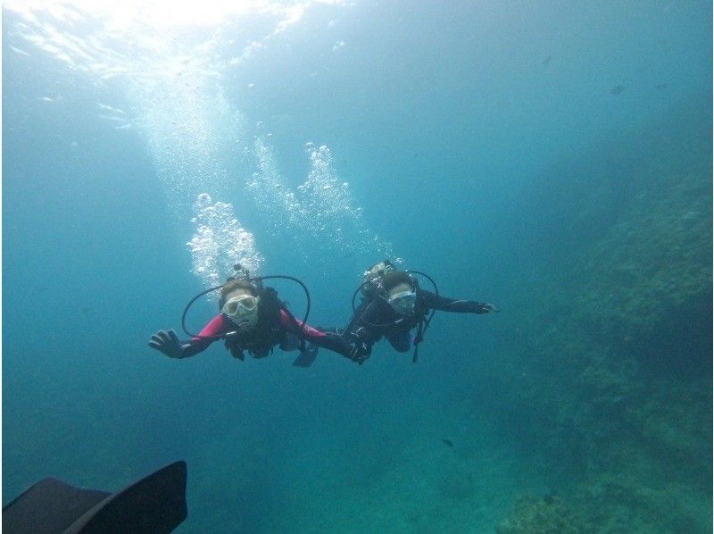 モルダイブ（MalDive） のギャラリー