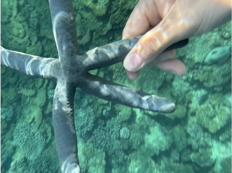 沖縄triple marine のギャラリー