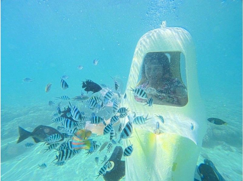 思い出販売所 美ら海 潜水スクーター のギャラリー