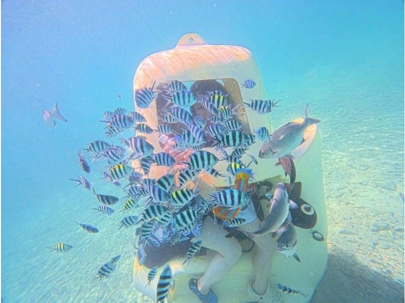 思い出販売所 美ら海 潜水スクーター のギャラリー