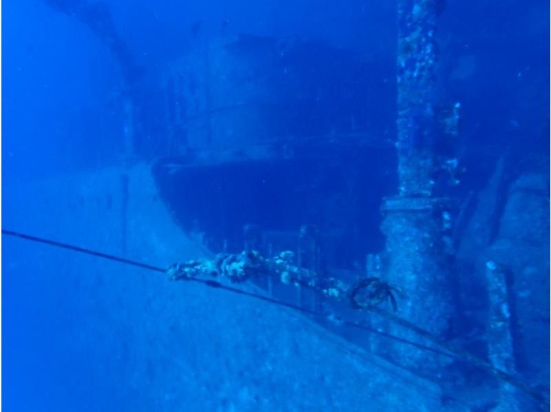 TEERA SCUBA VENTURES, OKINAWA（ティーラ　スクーバ　ヴェンチャーズ） のギャラリー