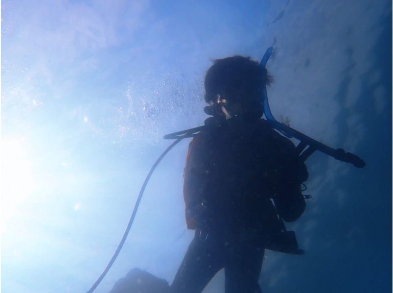 diving school ・g-scuba のギャラリー