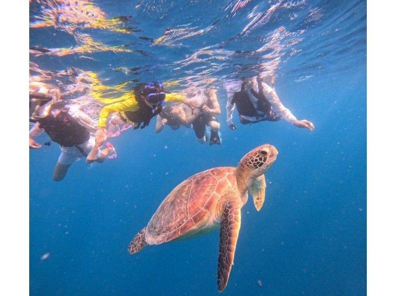 マーレ石垣島 のギャラリー