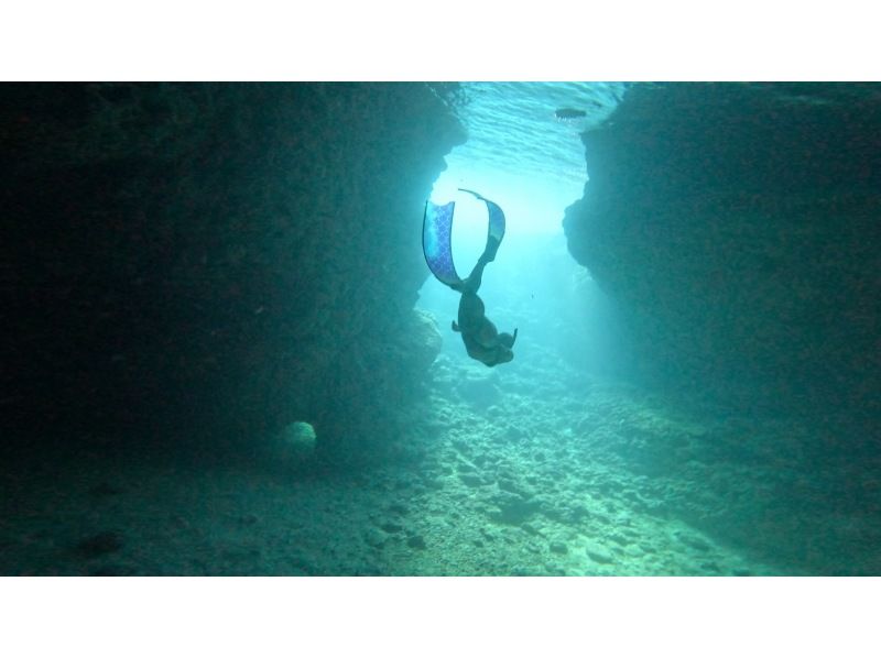White Rabbit Diving のギャラリー