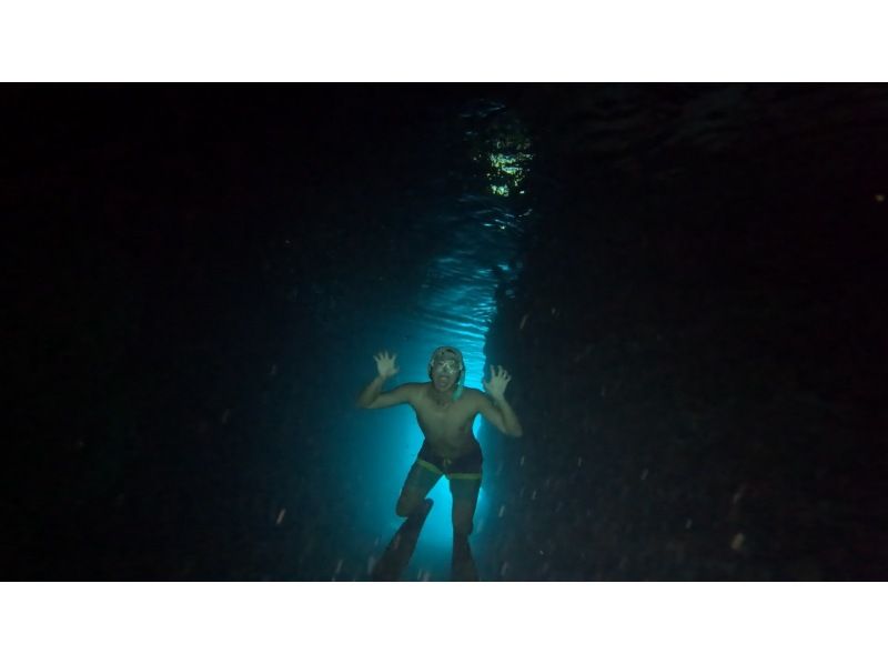 White Rabbit Diving のギャラリー