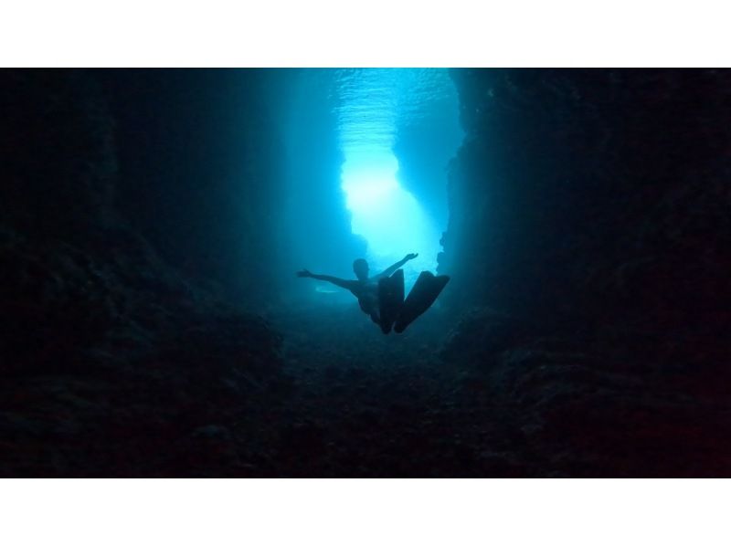 White Rabbit Diving のギャラリー