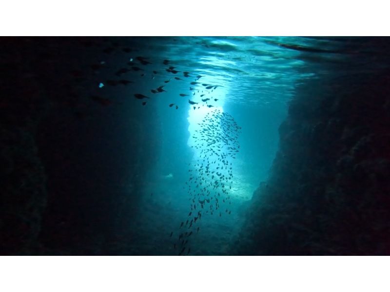 White Rabbit Diving のギャラリー