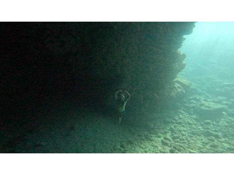 White Rabbit Diving のギャラリー