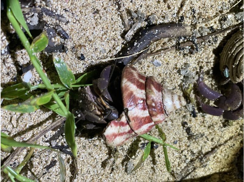 マーレ石垣島 のギャラリー