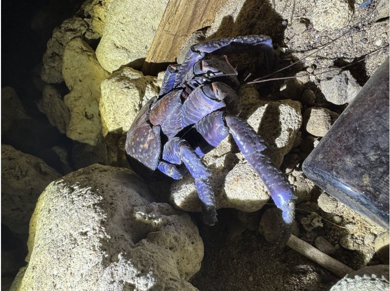 マーレ石垣島 のギャラリー