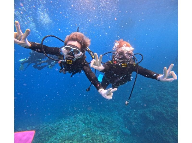 Diving Shop Lei のギャラリー