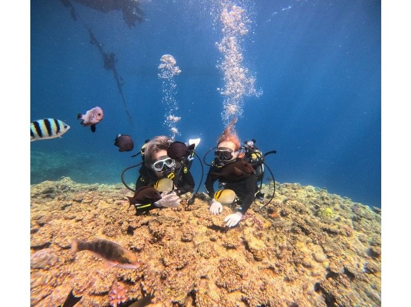 Diving Shop Lei のギャラリー