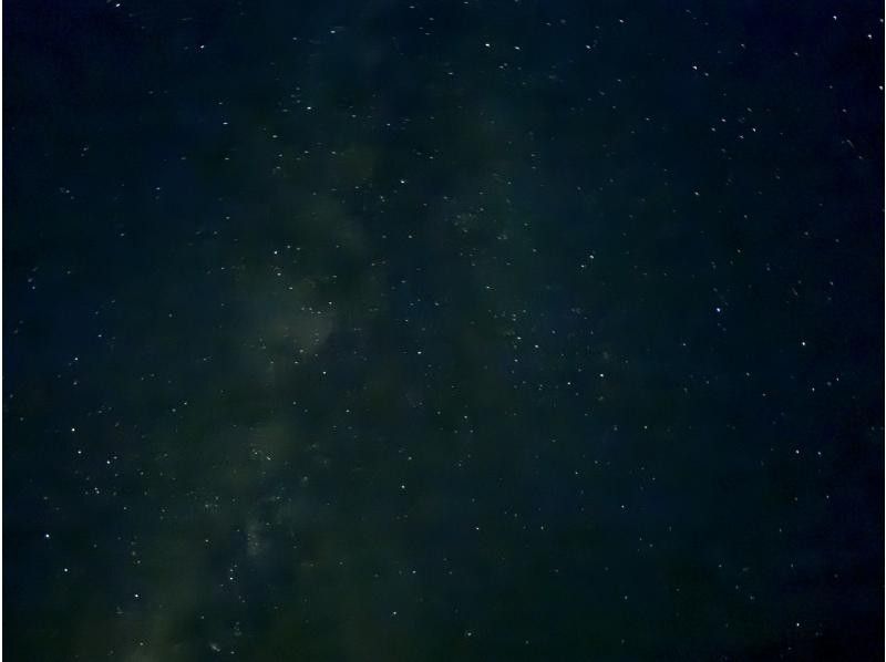ミッドナイトツアー  奄美 のギャラリー