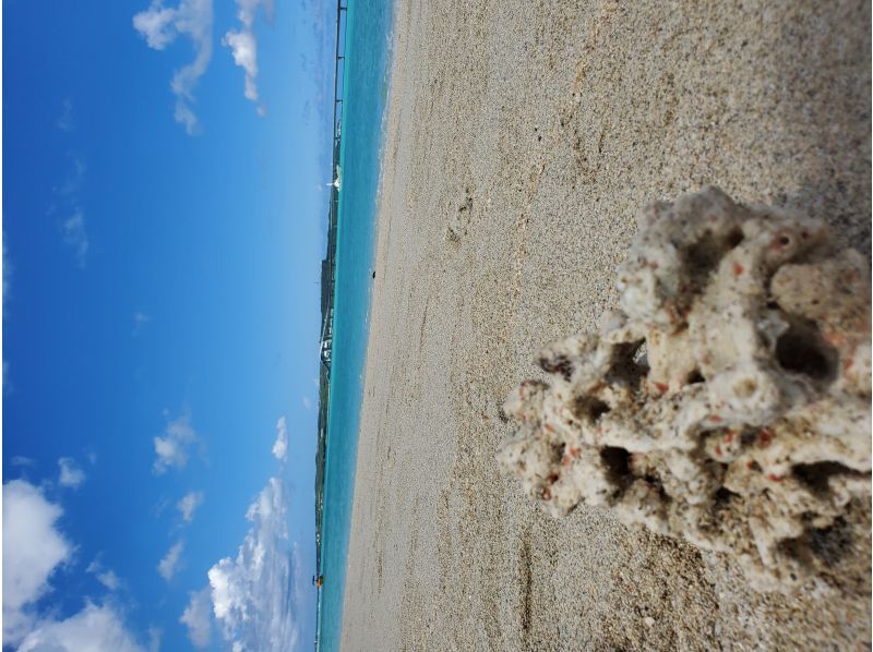 Activity Miyakojima DOSU のギャラリー