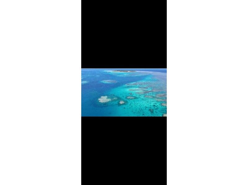 石垣島あいくるシーサー のギャラリー