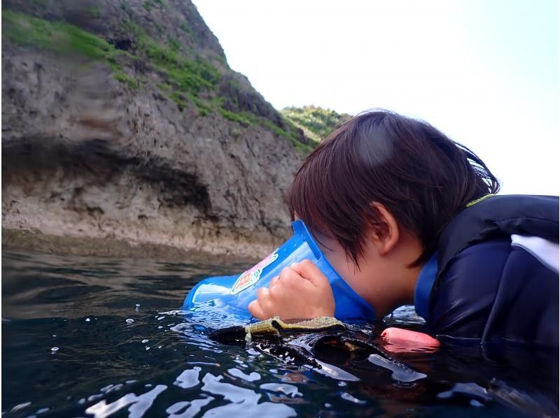 沖縄ダイビングショップ シーフリー(Sea Free) のギャラリー