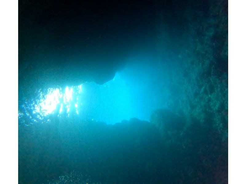 Diving Shop Lei のギャラリー