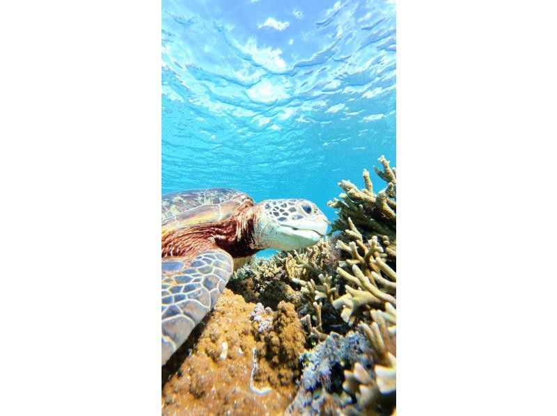 nico 宮古島 のギャラリー