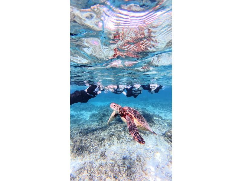 nico 宮古島 のギャラリー