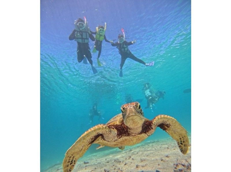 nico 宮古島 のギャラリー