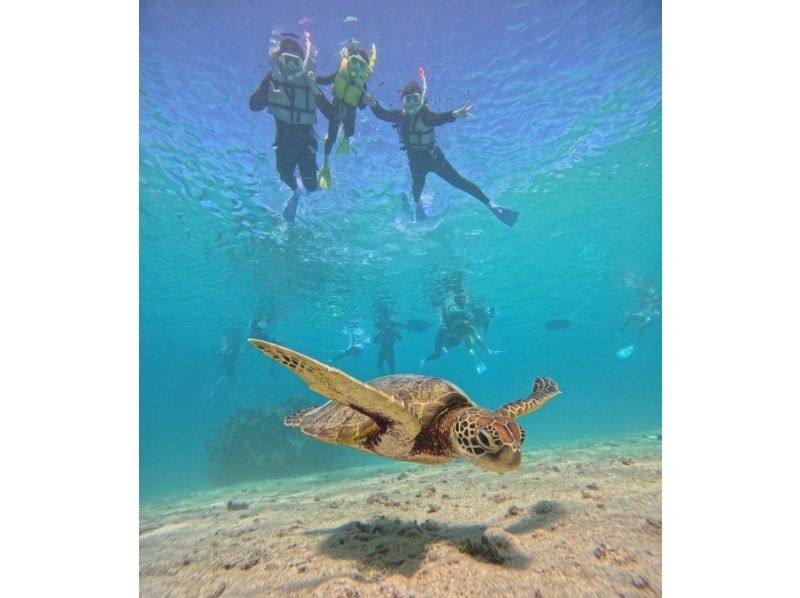 nico 宮古島 のギャラリー