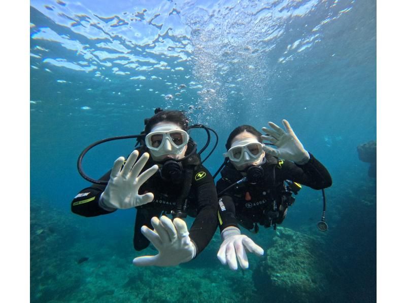 Diving Shop Lei のギャラリー