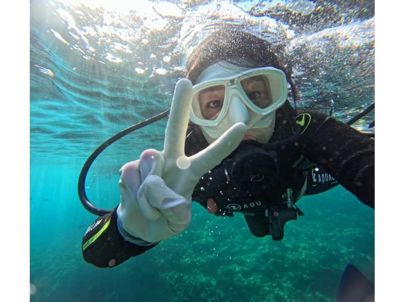 Diving Shop Lei のギャラリー