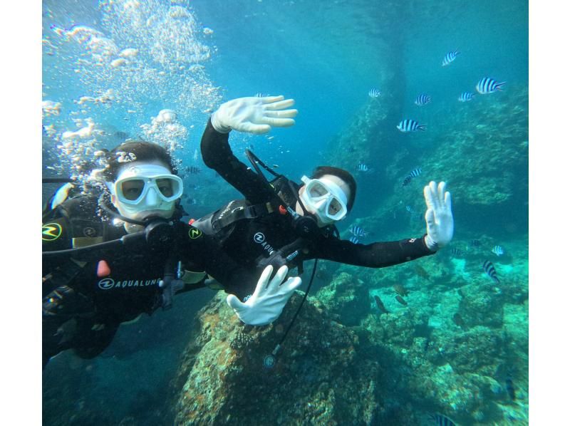 Diving Shop Lei のギャラリー
