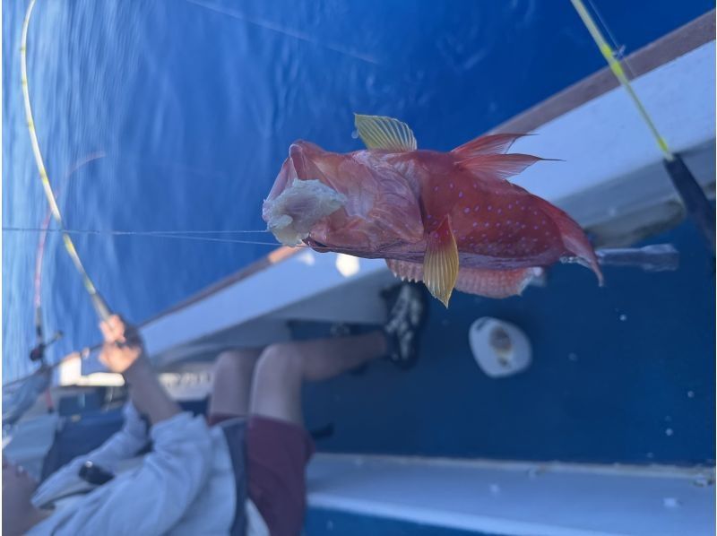 初心者専門釣り船フィッシュソング のギャラリー
